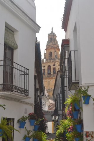 Cordoba Calleja de las Flores